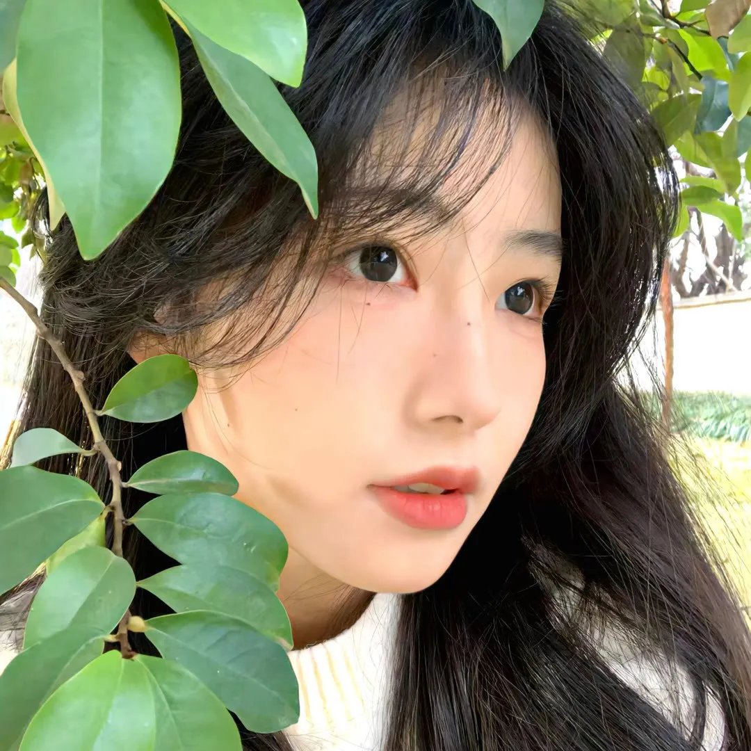 老鼠危机